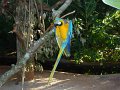 035_Parc aux oiseaux